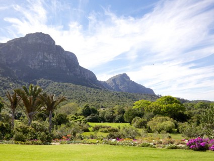 Grădina Botanică Kirstenbosch din Cape Town, Africa de Sud