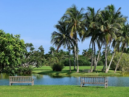 Grădina Tropicală Farhid din Coral Gables, Florida