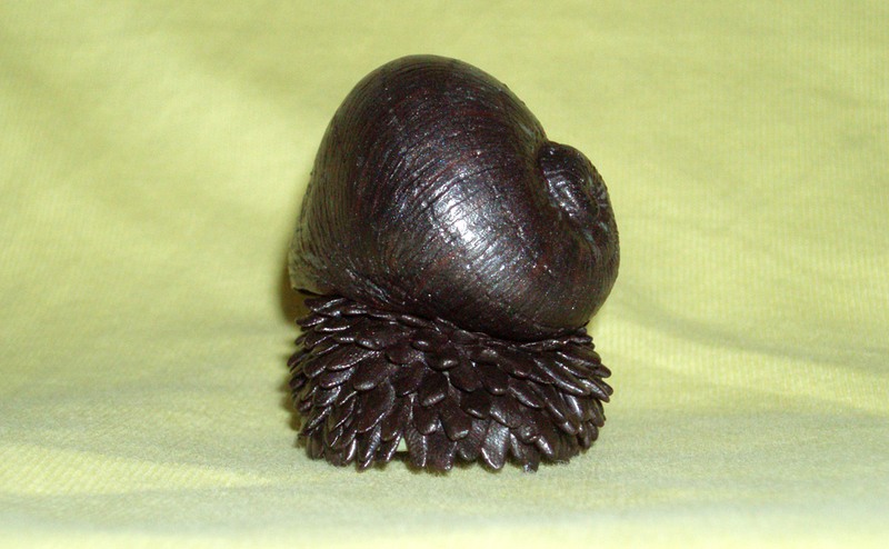 scaly-foot-gastropod-5